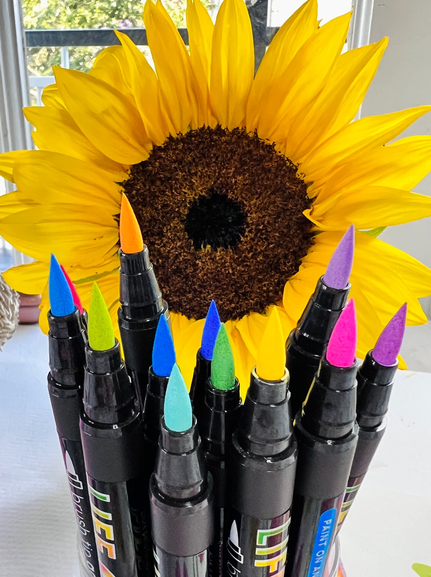 LIFE OF COLOUR collab Wildflowers Brush Tip Acrylic Paint Pens - Set of 12