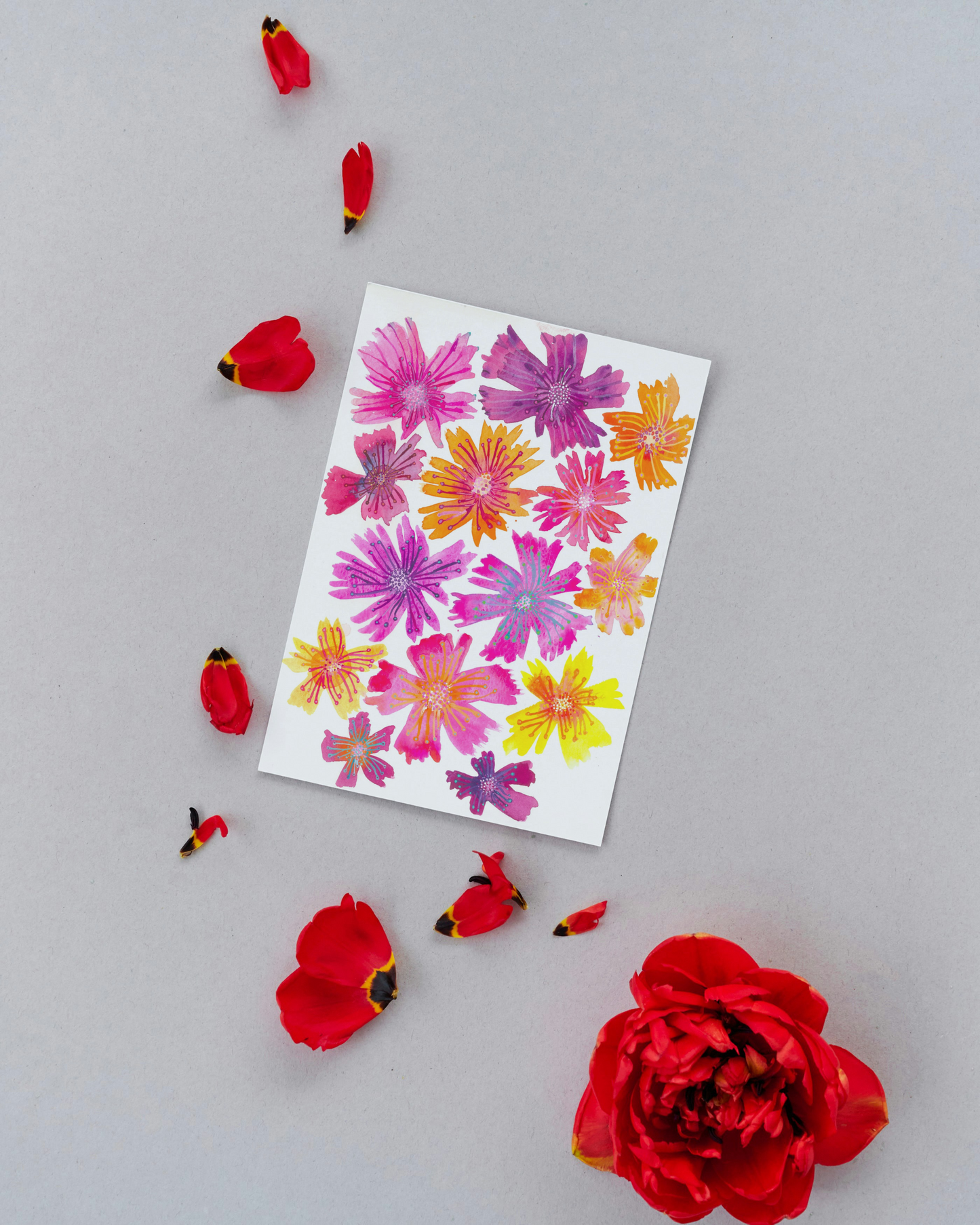 "Paper Daisies" Original Watercolour Artwork on Paper (A4: 21x29.7 cm)