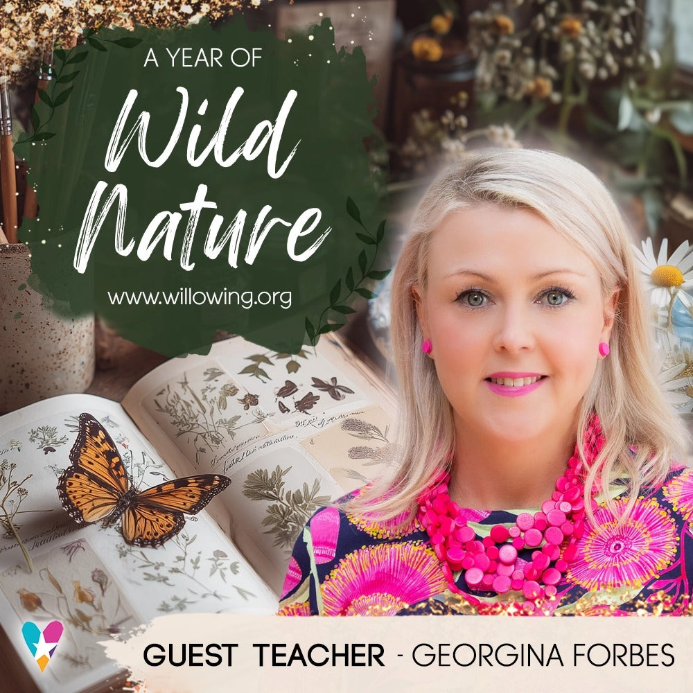 A Year of Wild Nature 🌿🎨🦋