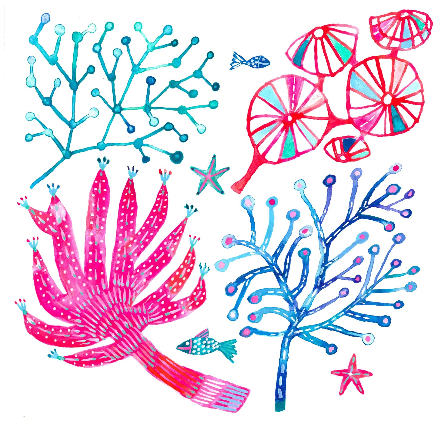 "Coral Study" Original Watercolour Artwork on Paper | Buy Australian artwork online