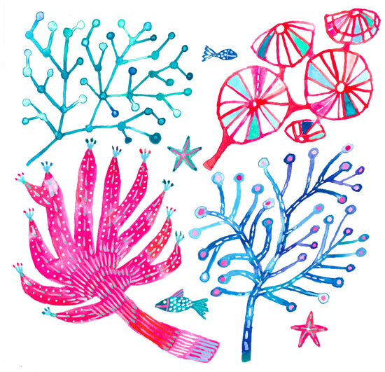 "Coral Study" Original Watercolour Artwork on Paper | Buy Australian artwork online