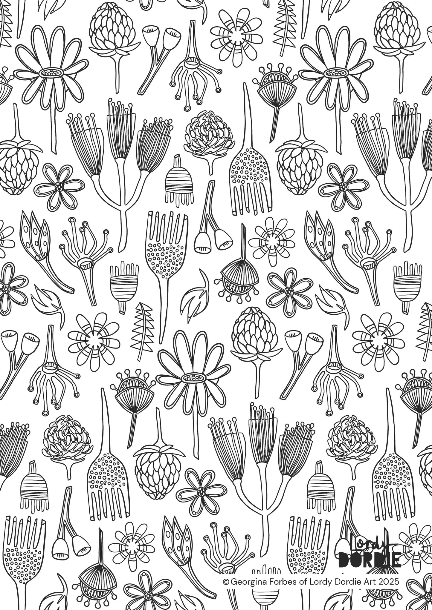 AUSTRALIAN FLORA Colouring In Sheet (PDF Download)