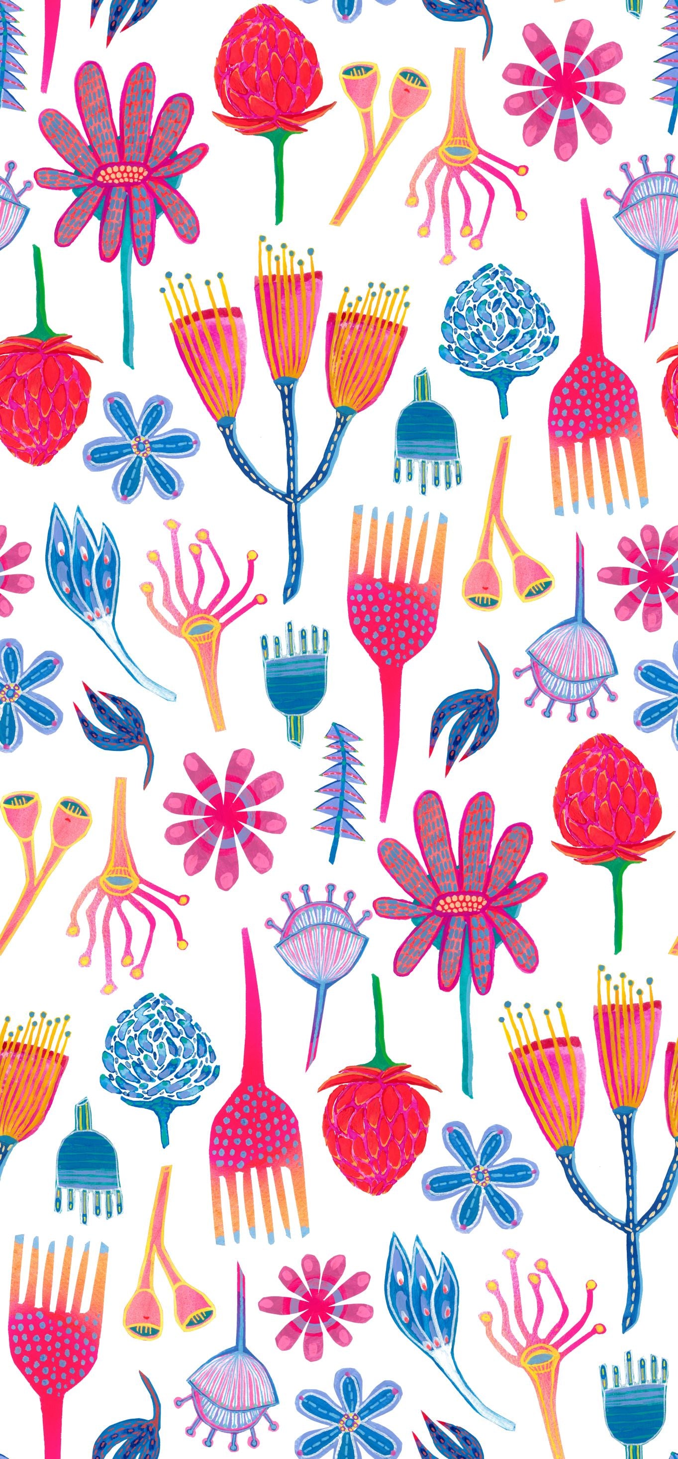 AUSTRALIAN FLORA Colouring In Sheet (PDF Download)